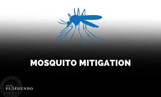 Mosquitoes 2025-12-31_web news